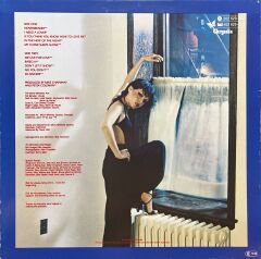 Pat Benatar In The Heat Of The Hight LP Plak