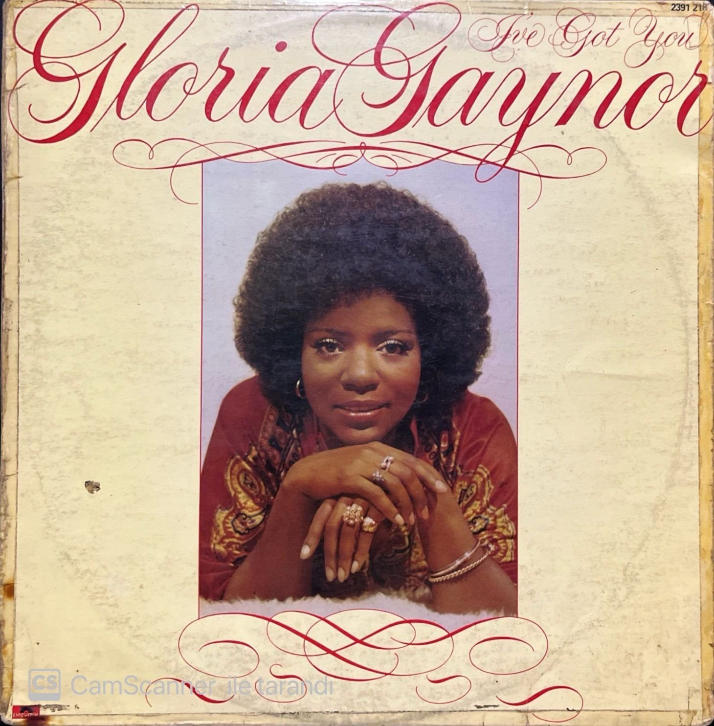 Gloria Gaynor I've Got You LP Plak