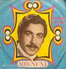 Aşık Mecnuni Veyselide Yedi Bu Kara Toprak 45lik Plak