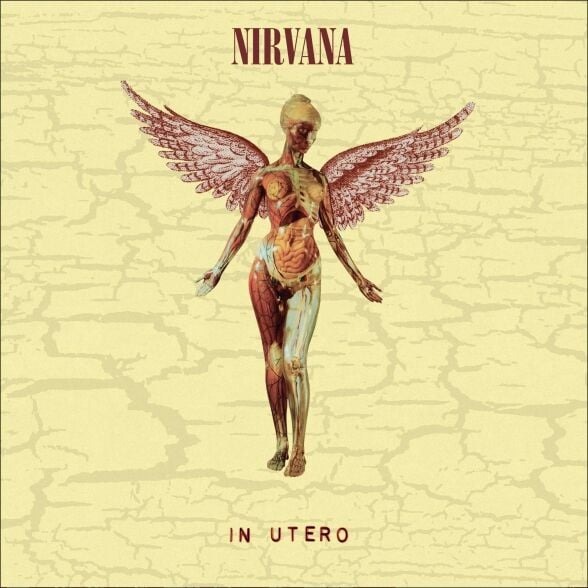 Nirvana In Utero LP Plak