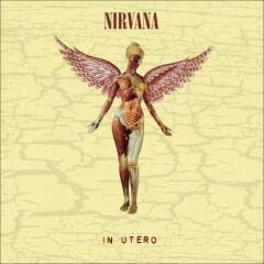 Nirvana In Utero LP Plak