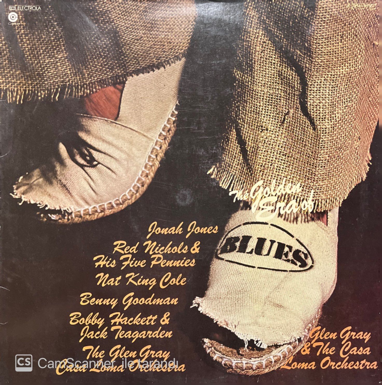 The Golden Era Of Blues LP Plak