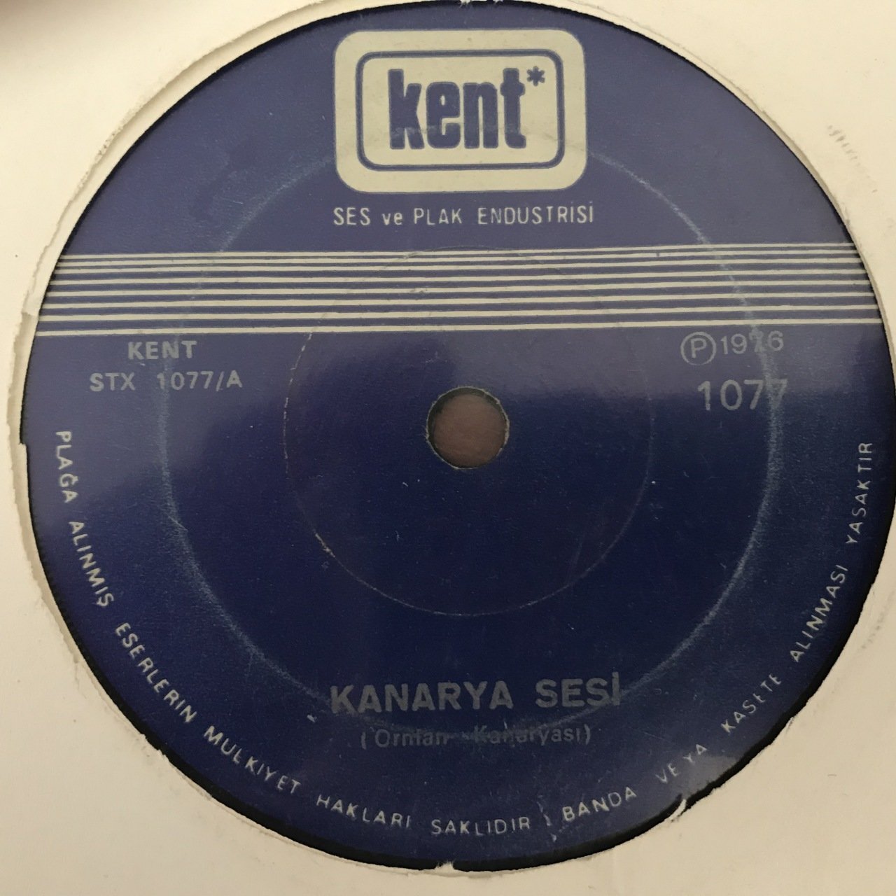 Kuş Sesleri Kanarya Sesi Orman Kanaryası 45lik Plak