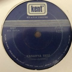 Kuş Sesleri Kanarya Sesi Orman Kanaryası 45lik Plak