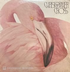 Christopher Cross Another Page Açılmamış Jelatininde LP Plak