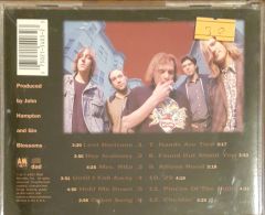 Gin Blossoms New Miserable Experience CD