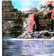 Van Der Graaf Generator Pawn Hearts LP Plak