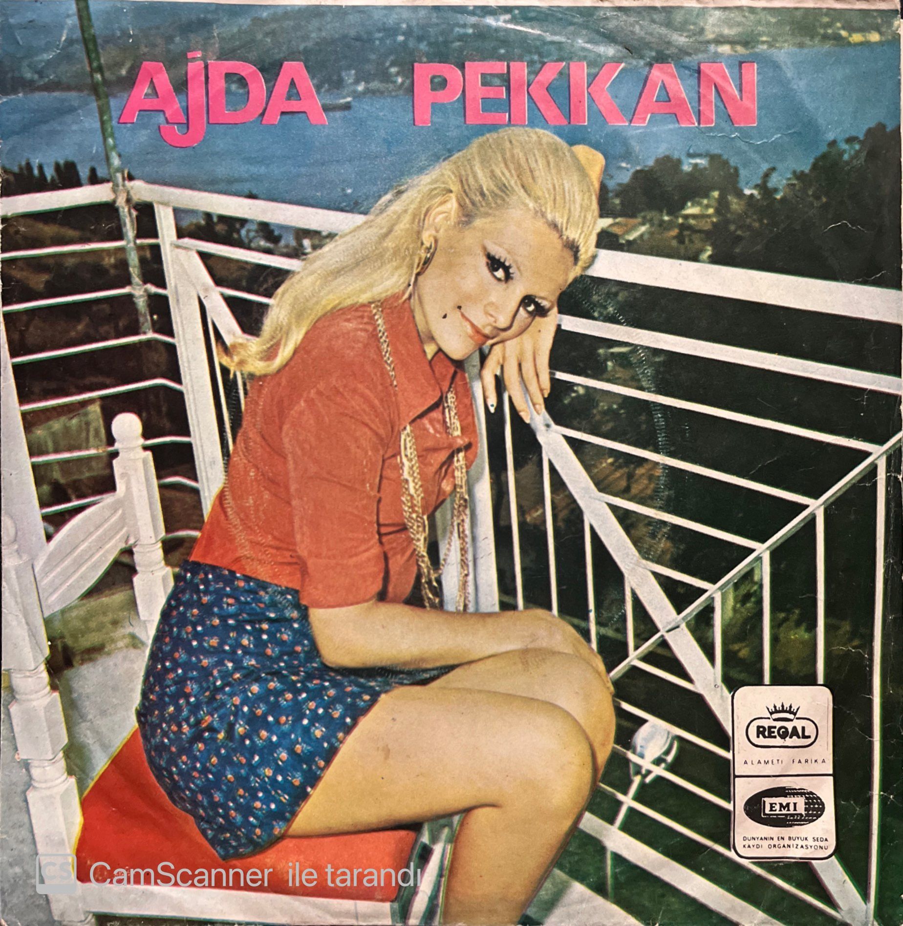 Ajda Pekkan Ben Bir Köylü Kızıyım 45lik Plak