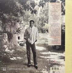 Al Jarreau L Is For Lover LP Plak