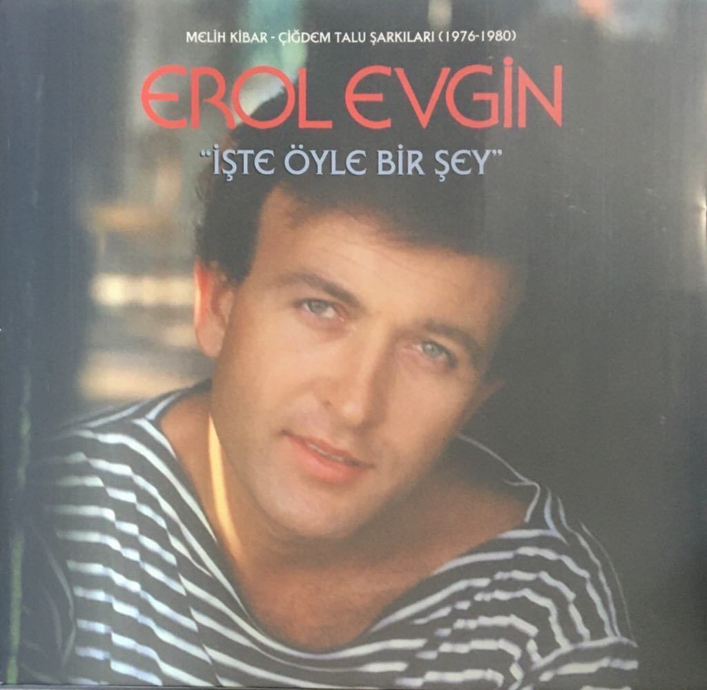 Erol Evgin İşte Öyle Bir Şey LP Plak