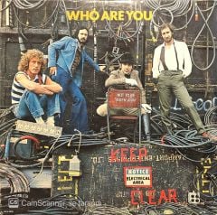 The Who Who Are You LP Plak