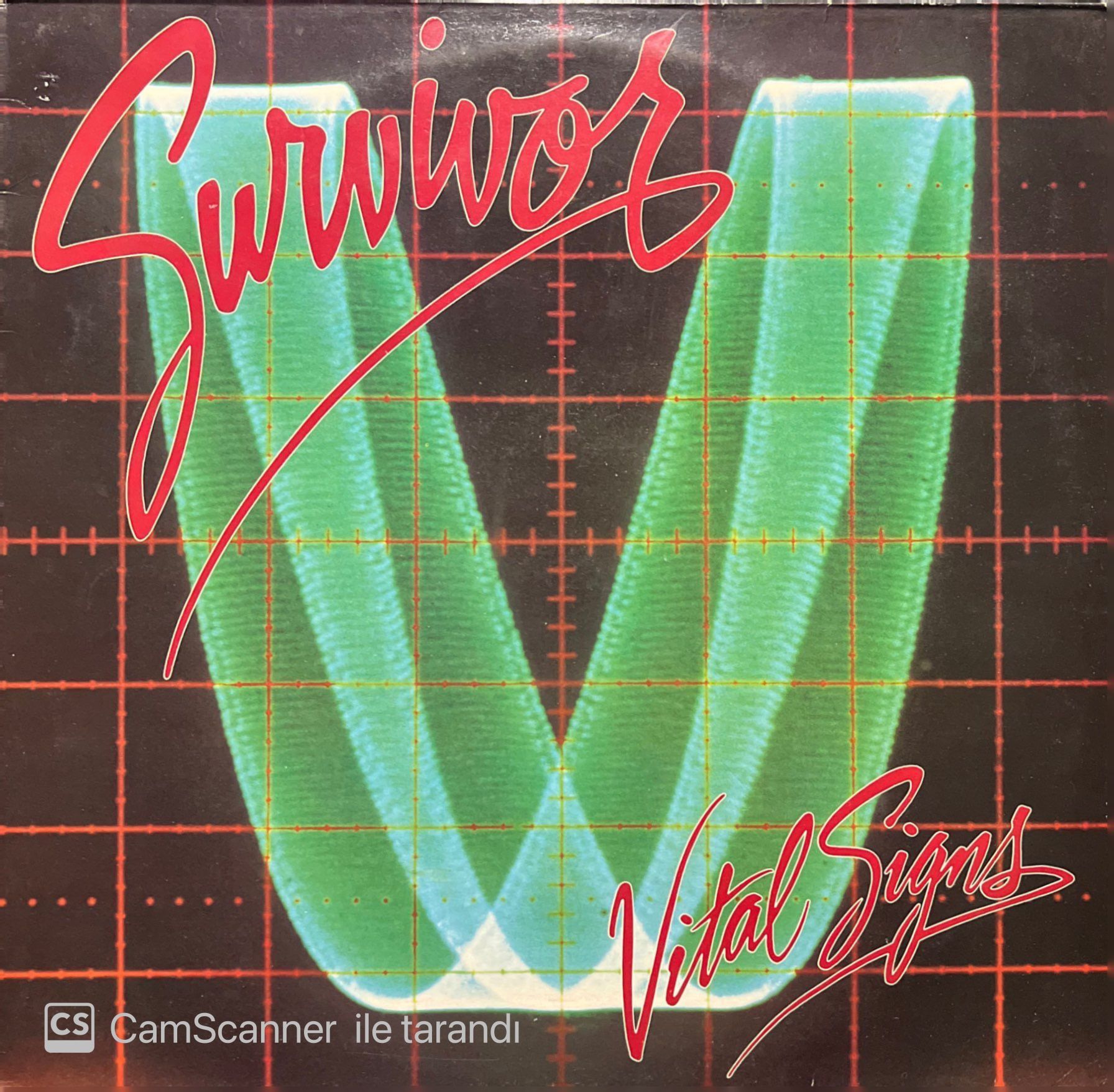 Survivor Vital Sing LP Plak