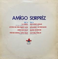 Amigo Süpriz LP Plak