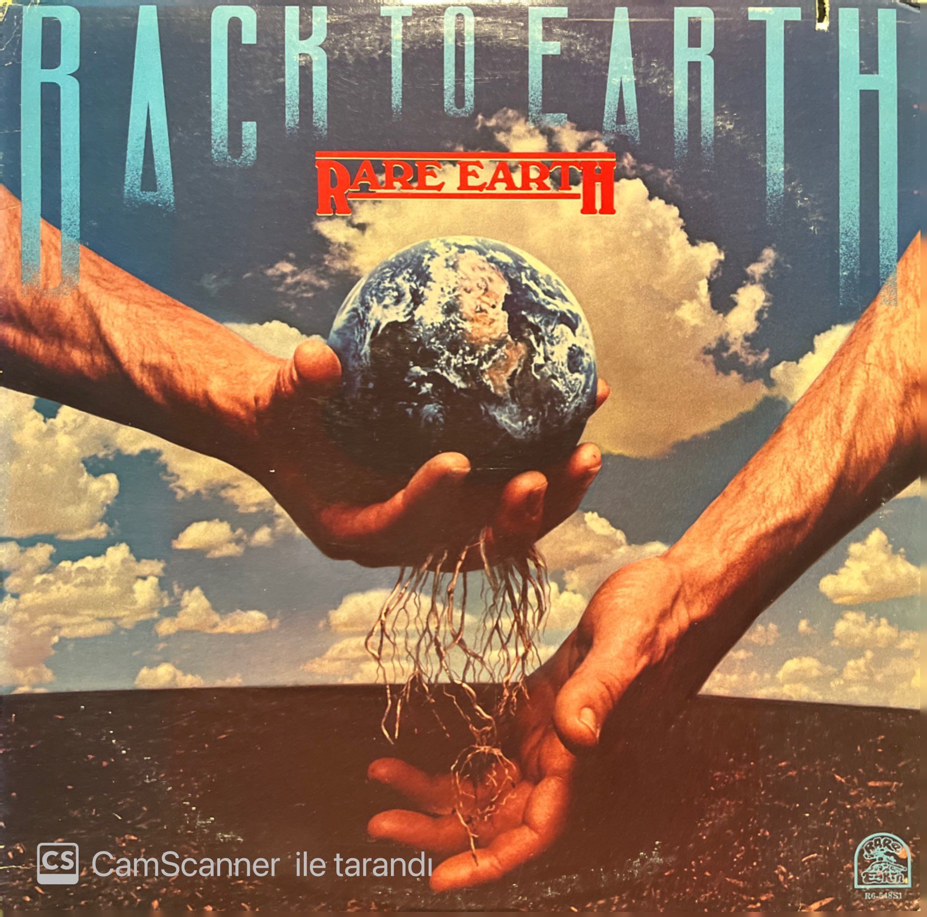 Rare Earth Back To Earth LP Plak