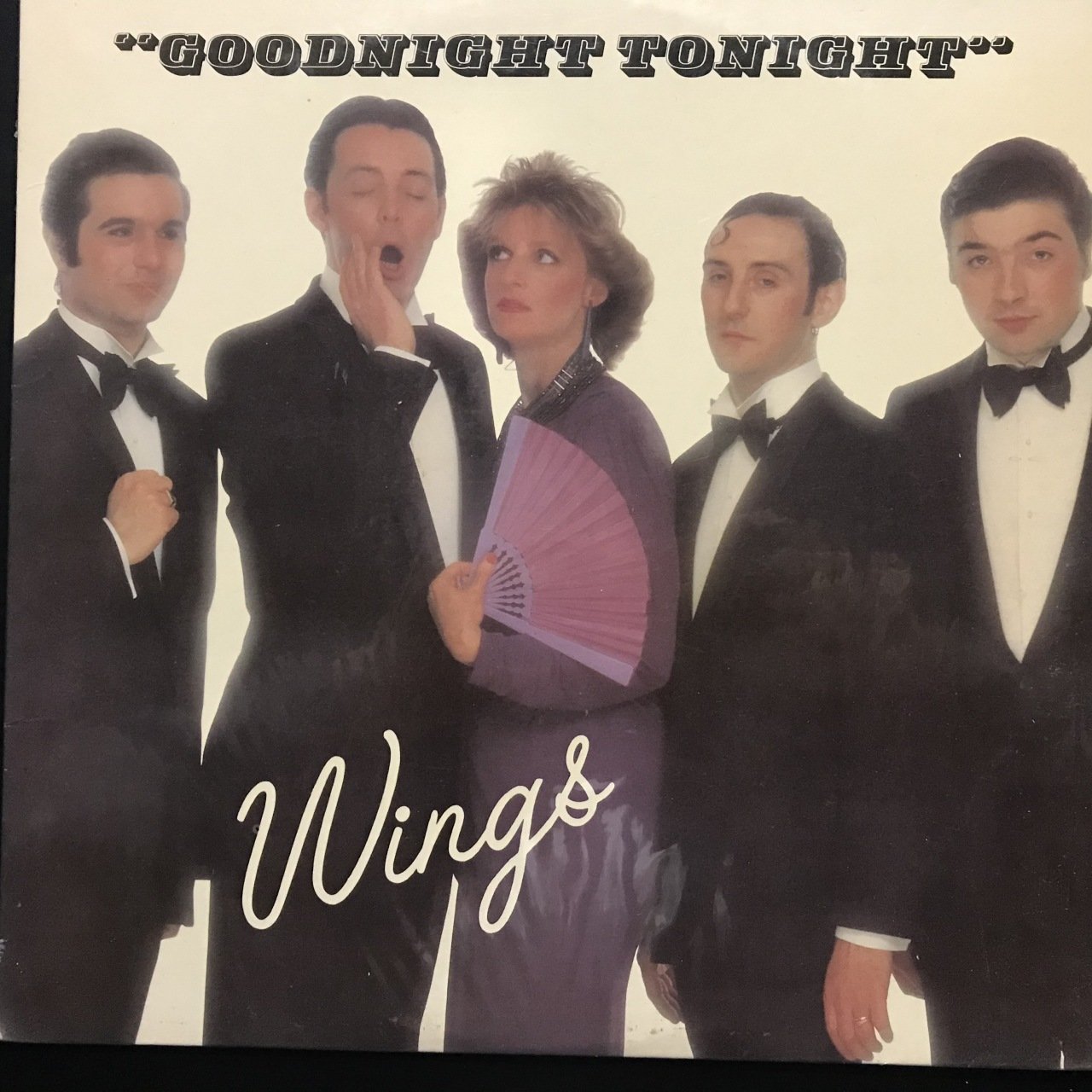 Wings Daytime Nighttime Suffering LP Plak