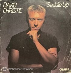 David Christie Saddle Up 45lik Plak