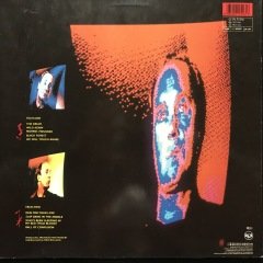 Roger Chapman Techno Prisoners LP Plak
