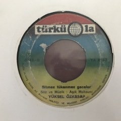 Yüksel Özkasap Bitmez Tükenmez Geceler 45lik Plak