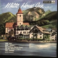 White Horse Gun LP Plak