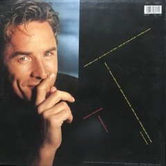 Don Johnson Let It Roll LP Plak