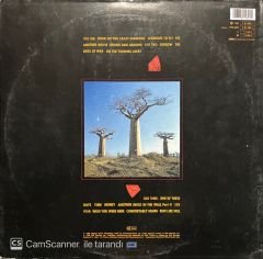 Pink Floyd Delicate Sound Of Thunder Double LP Plak