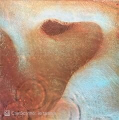 Pink Floyd Meddle LP Plak