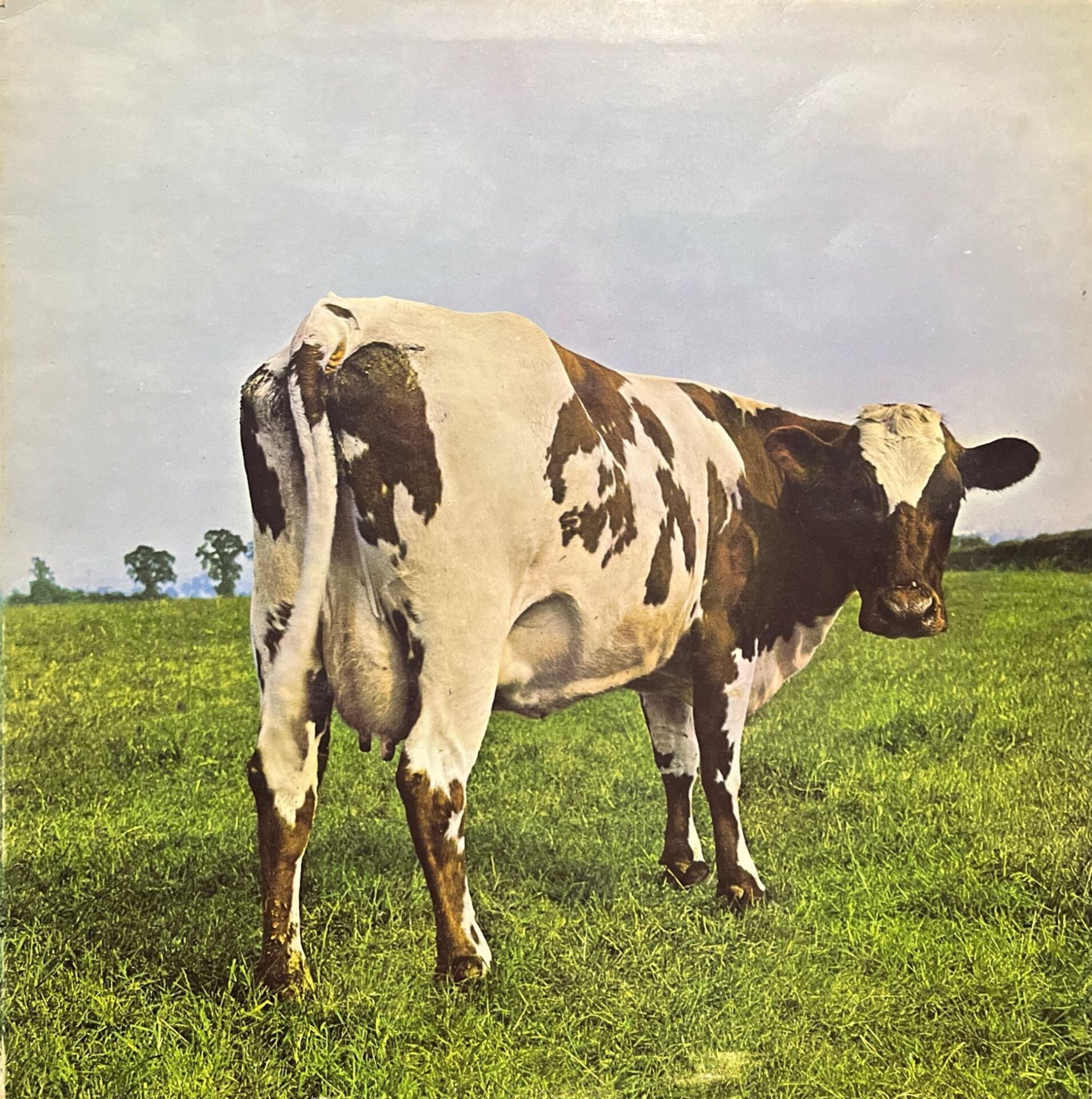 Pink Floyd Atom Heart Mother LP Plak