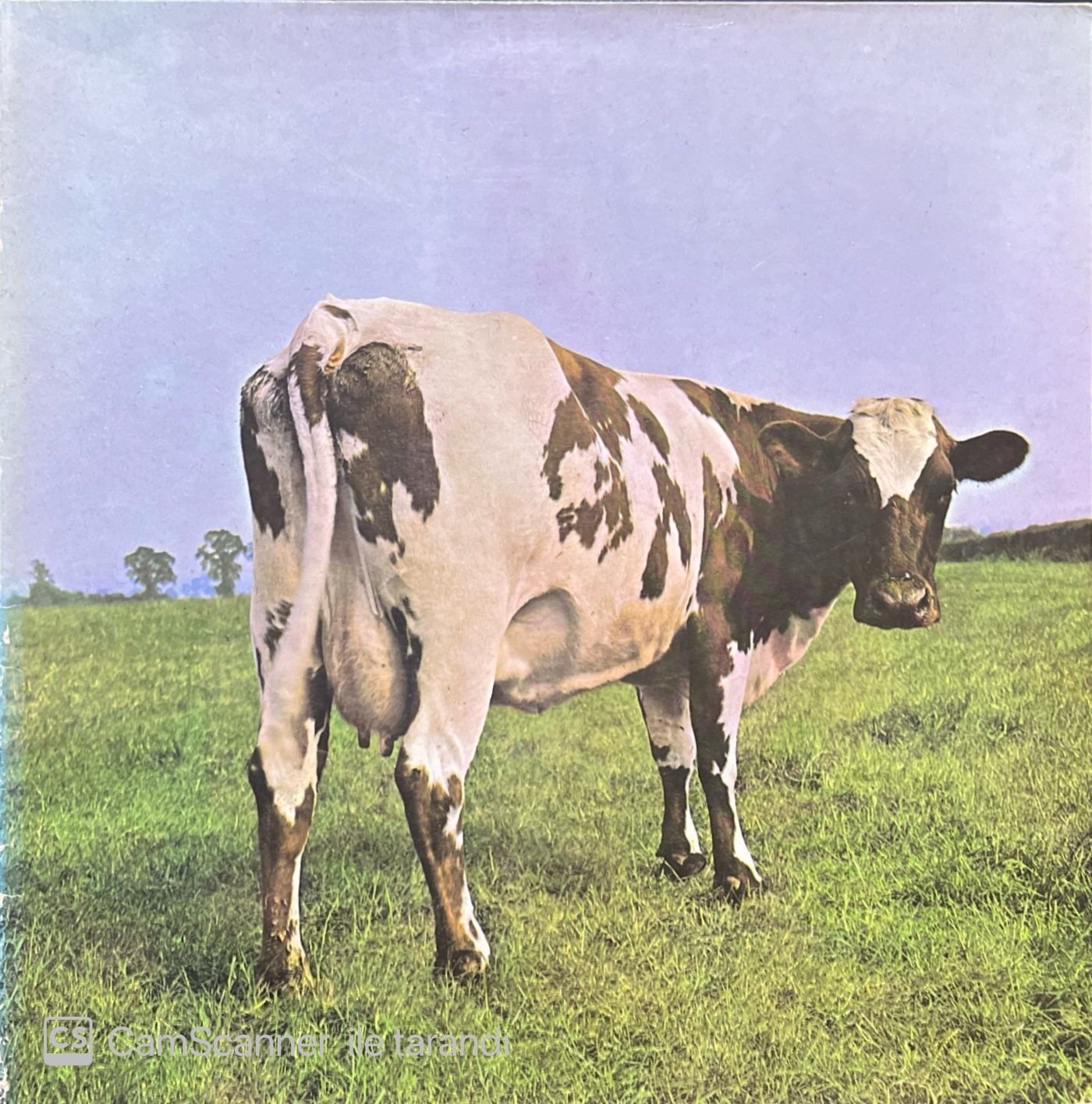 Pink Floyd Atom Heart Mother LP Plak