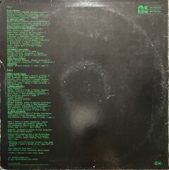 Angelo Branduardi Italian Version Of 1st Lp Released 1974 Lp Plak