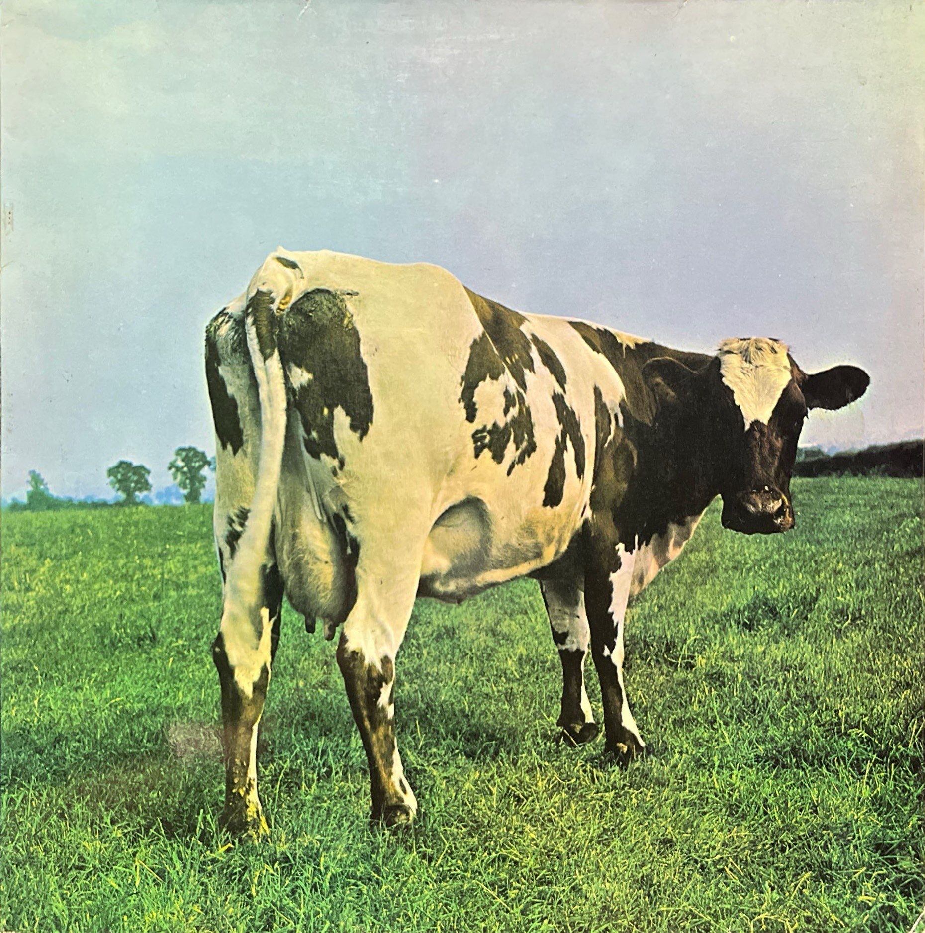 Pink Floyd Atom Heart Mother LP Plak