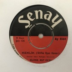 Silifke Mut Ekibi Keklik Depo Malı 45lik plak