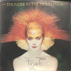 Toyah Thunder In The Mountains 45lik Plak