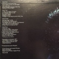 Bob Dylan's Greatest Hits Vol. II Çift LP Plak