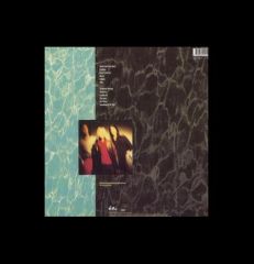 Nirvana Nevermind  LP Plak