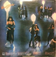 Donna Summer Bad Girls LP Plak