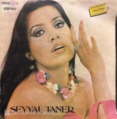Seyyal Taner Gülme Komşuna 45lik plak