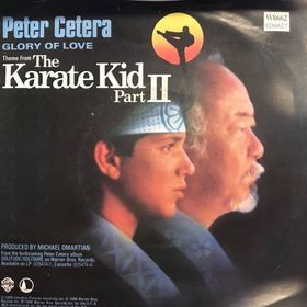 Peter Cetera Karate Kid 2 Glory Of Love 45lik Plak
