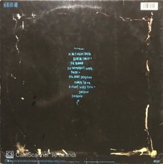 The Cure The Head On The Door LP Plak