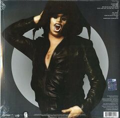 The Steve Miller The Joker LP Plak