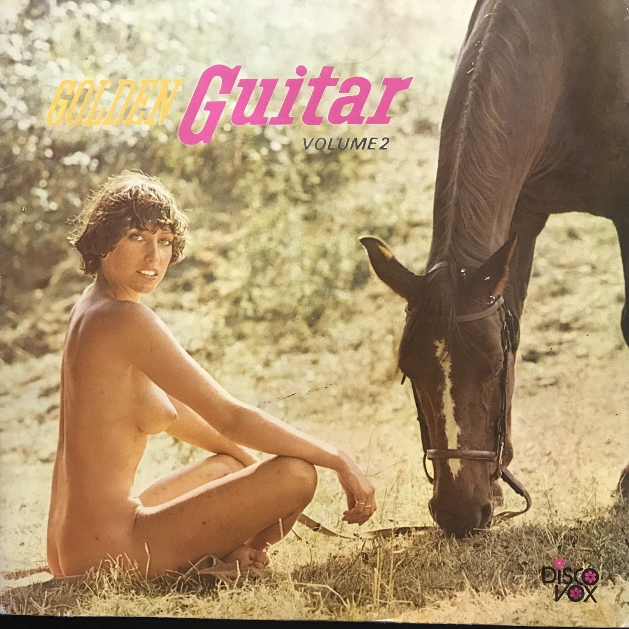 Golden Guitar Volume 2 LP Plak