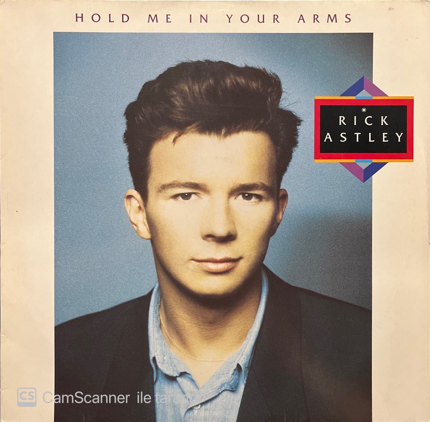 Rick Astley Hold Me In Your Arms LP Plak
