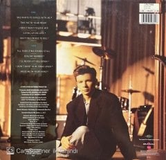 Rick Astley Hold Me In Your Arms LP Plak