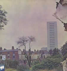 Live At The Paramount Double LP Plak