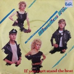 Bucks Fizz İf You Can't Stand The Heat 45lik Plak