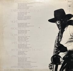 Bruce Springsteen Born To Run LP Plak