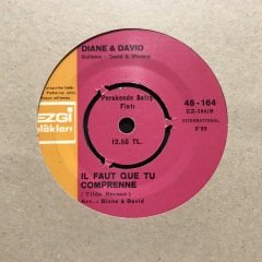 Diane & David IL Faut Que Tu Comprenne 45lik Plak