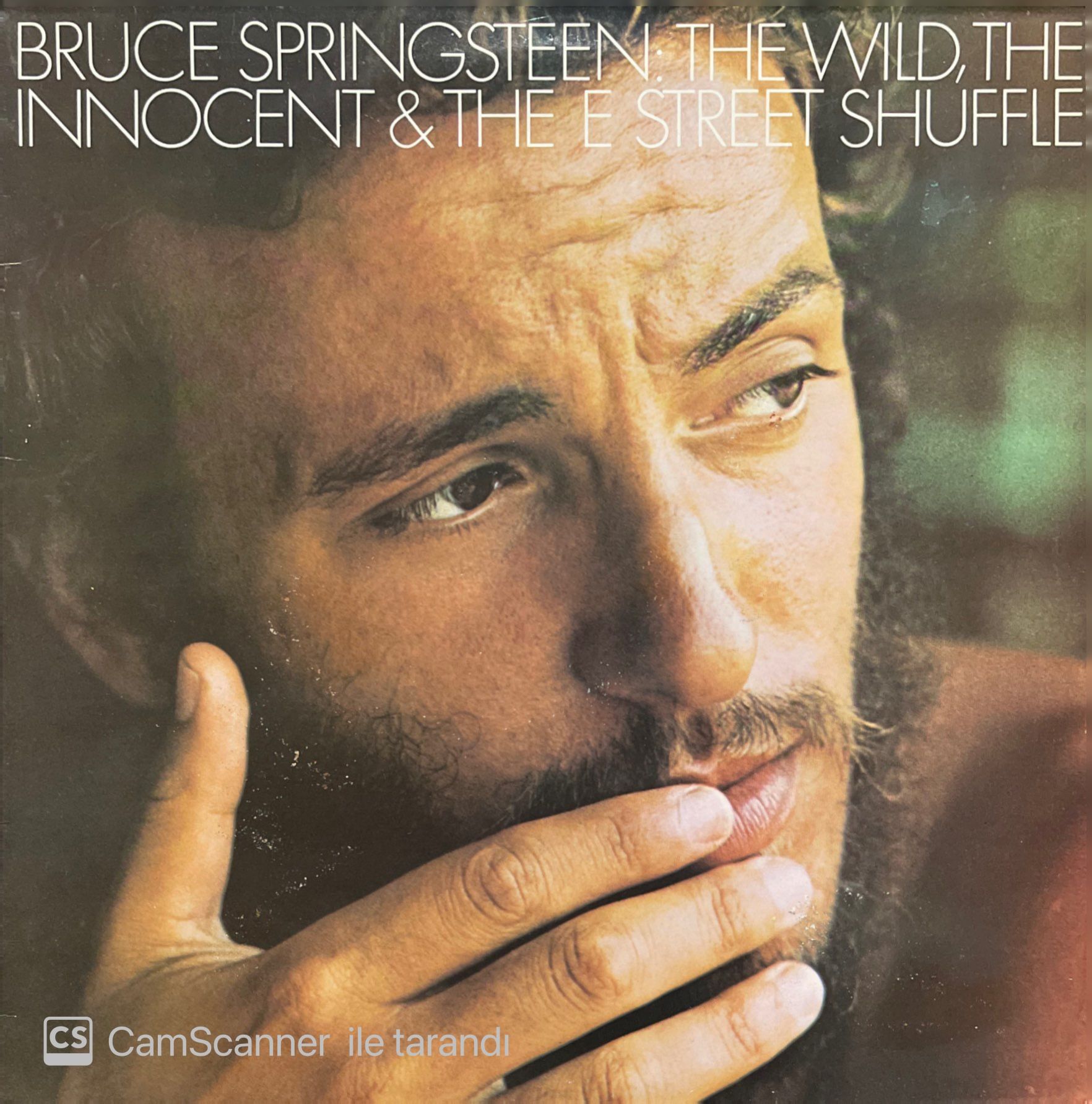Bruce Springsteen The Wild, The Inncent & The E Street Shuffle LP Plak