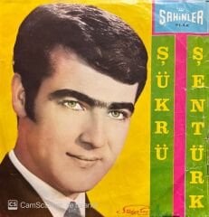 Şükrü Şentürk Eştiğin Kuyuya Düştün 45lik Plak