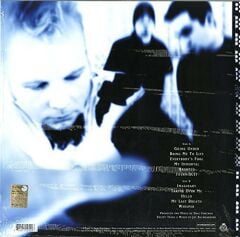 Evanescence Fallen LP Plak