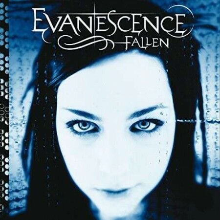 Evanescence Fallen LP Plak